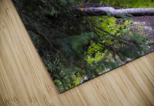 mossy trail Vincent Prince puzzle