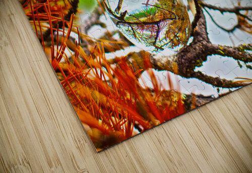 crystal lake Vincent Prince puzzle