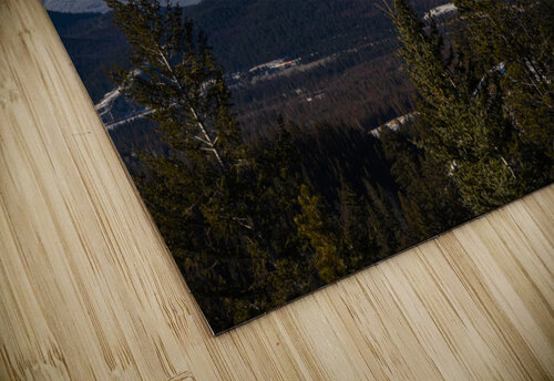 overlook Vincent Prince puzzle