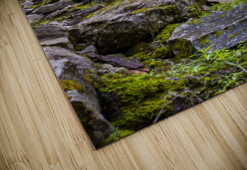 mossy Vincent Prince puzzle