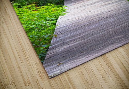 forest boardwalk Vincent Prince puzzle