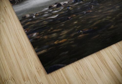 tiny rapids Vincent Prince puzzle