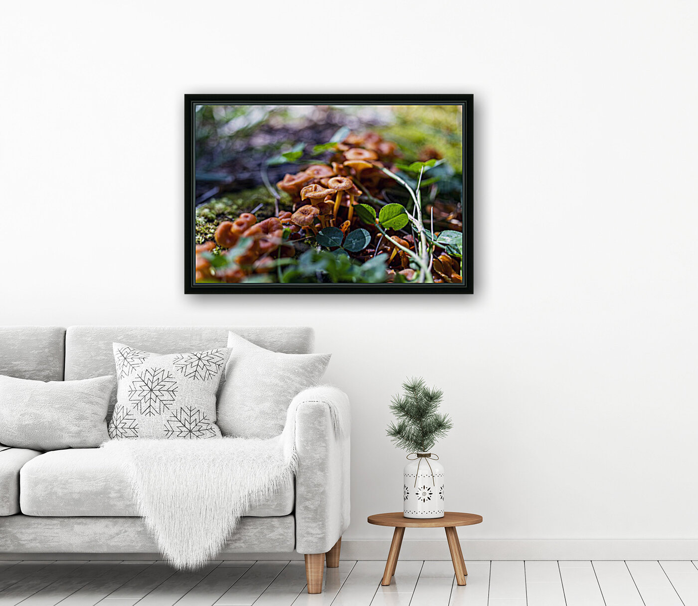 shrooms Reproduction