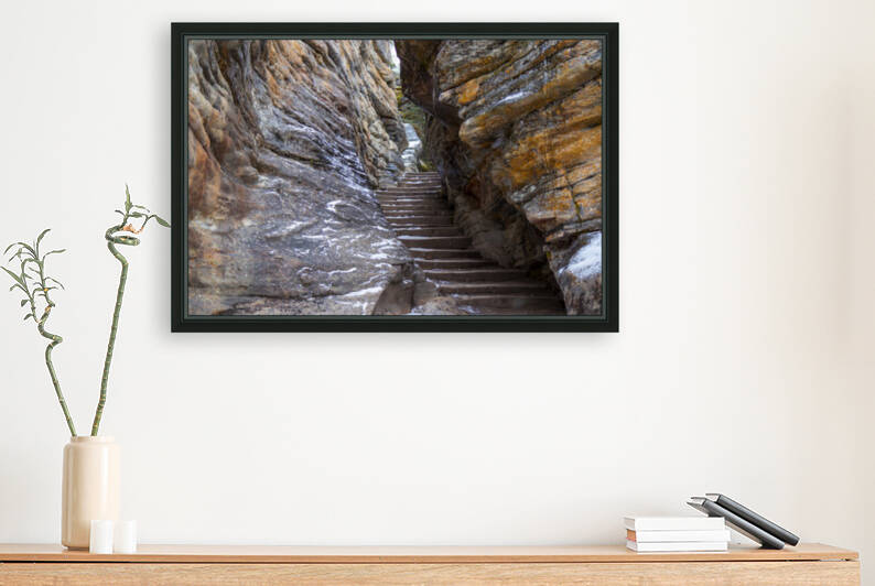 steps Reproduction