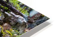 mossy HD Metal print