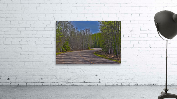 the winding road Wall Preview