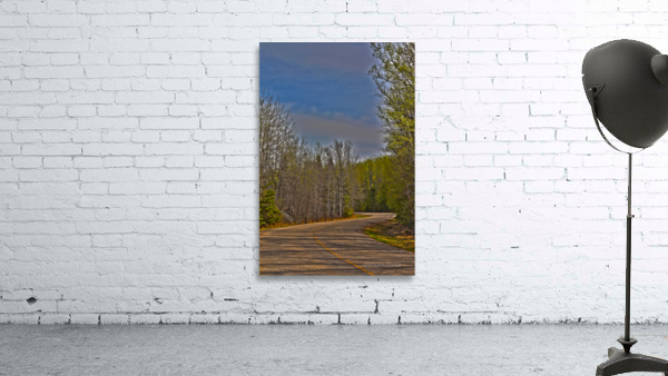 the winding road 2 Wall Preview