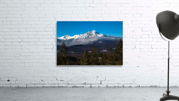 overlook Wall Preview