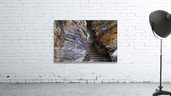 steps Wall Preview