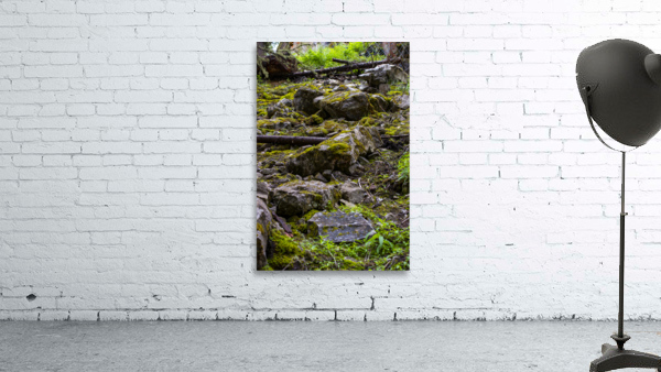 mossy Wall Preview