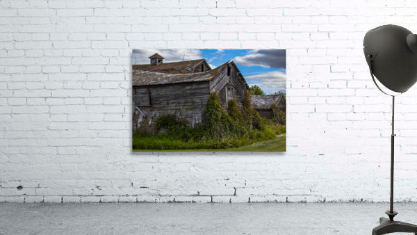 barns Wall Preview