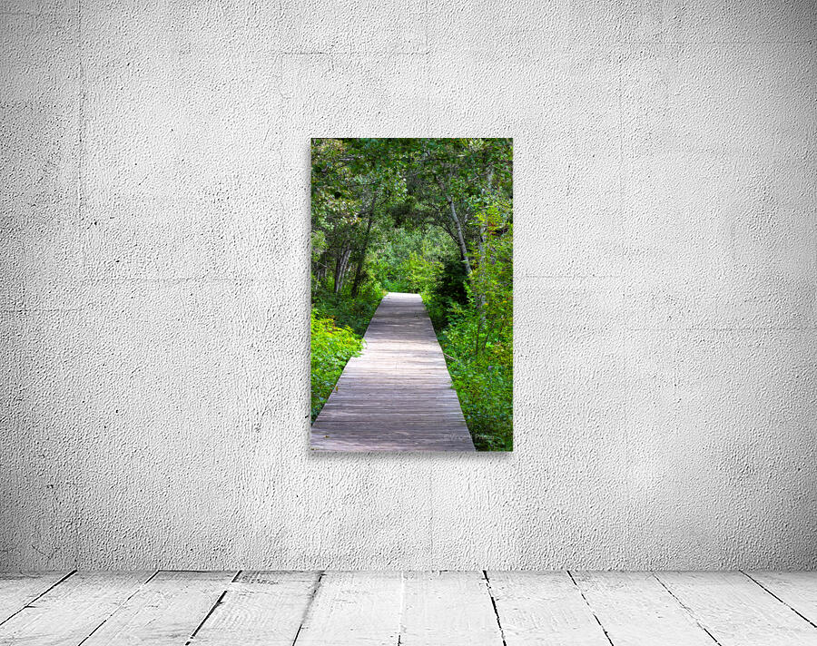 forest boardwalk Wall Preview
