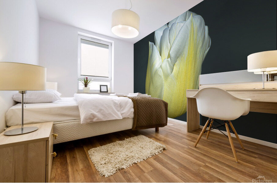 TULIPE - TULIP Mural print