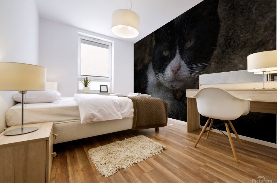 Chat - Cat Mural print
