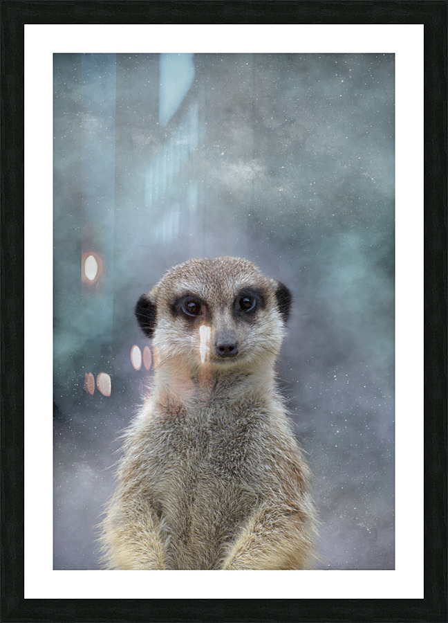  Fine Art print