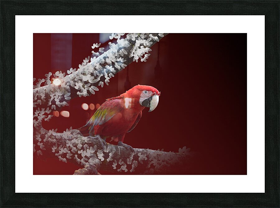  Fine Art print