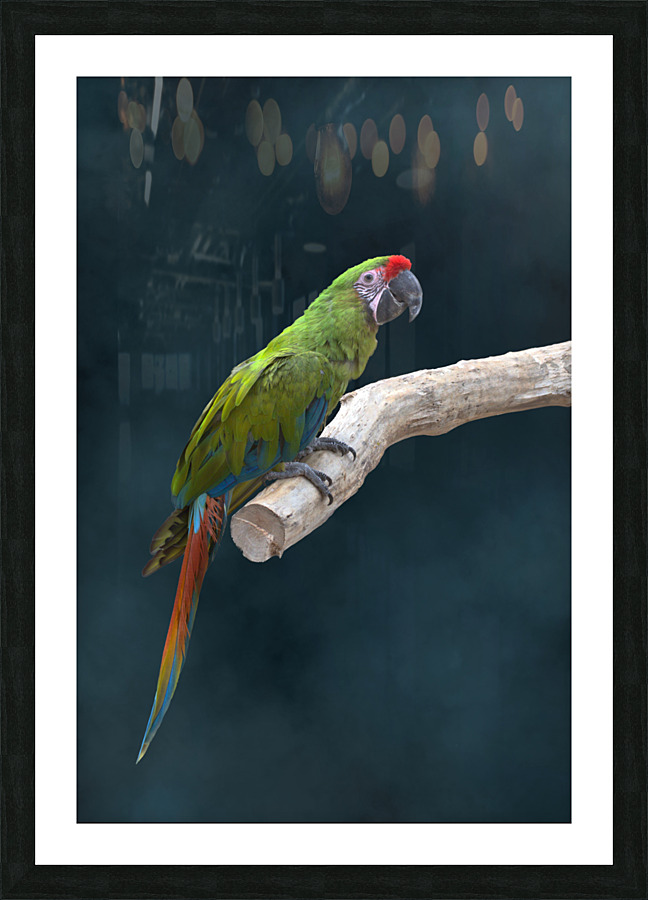  Fine Art print