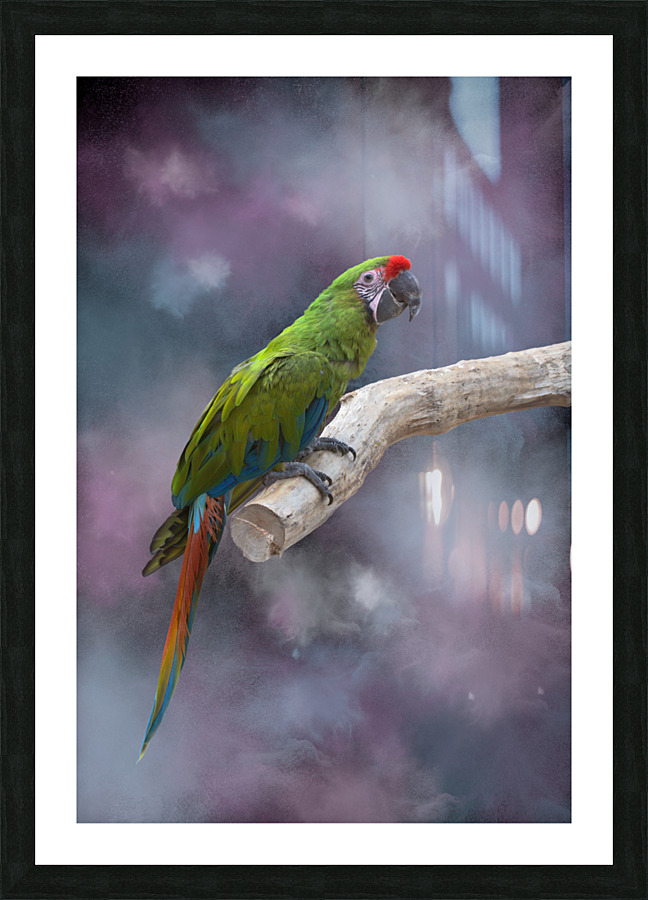  Fine Art print
