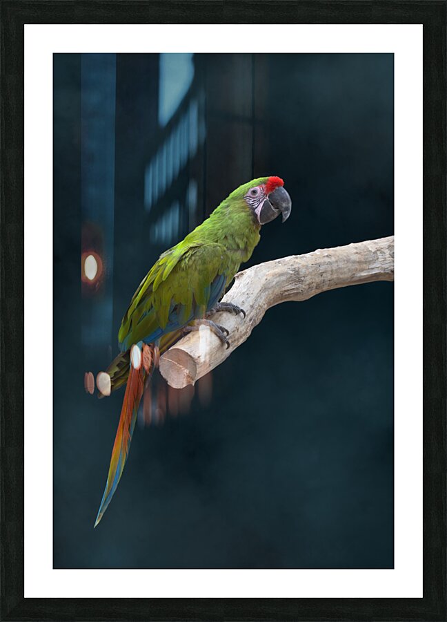  Fine Art print