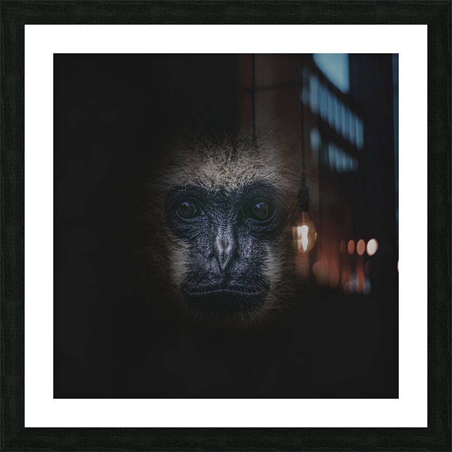  Fine Art print