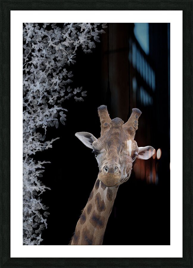 GIRAFE Picture Frame print
