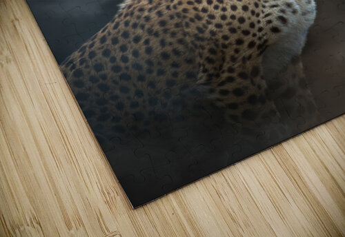 Guepard - Cheetah BASSEB puzzle