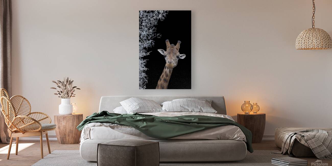 GIRAFE Reproduction