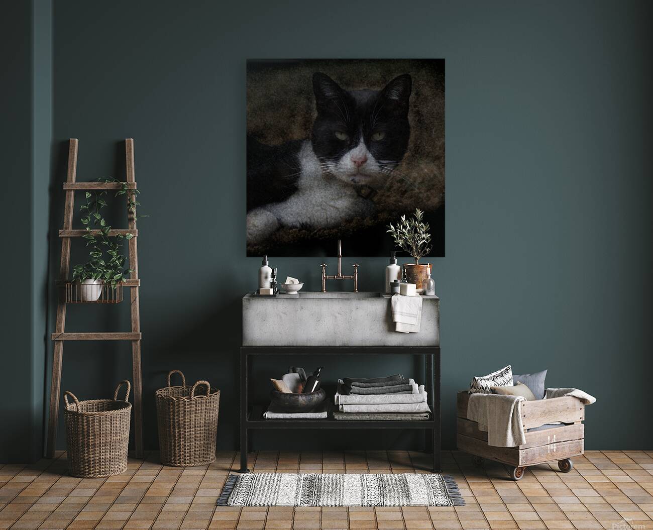 Chat - Cat Reproduction