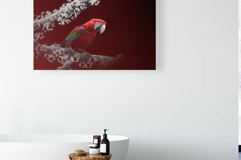 ARAS sur une branche - macaws on a branch by BASSEB