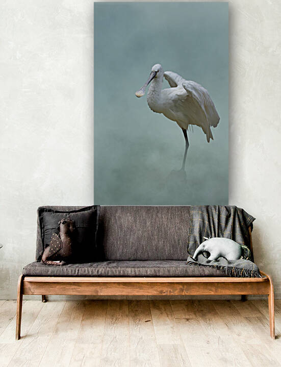 Spatule blanche - Spoonbill by BASSEB