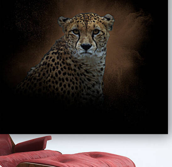 Guepard sur fond noir et orange - Cheetah on black and orange background by BASSEB