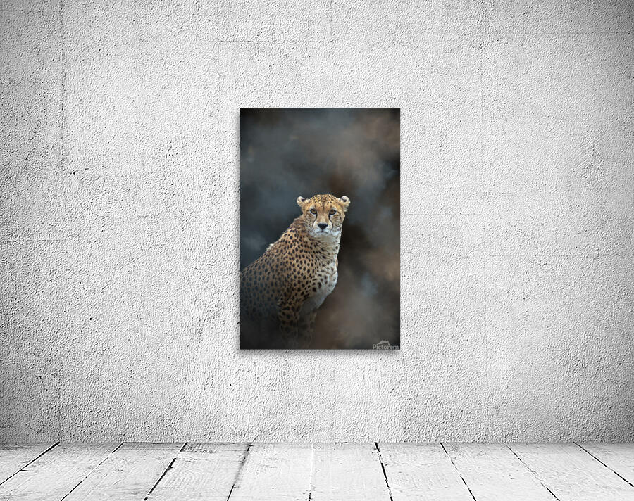 Guepard - Cheetah Wall Preview