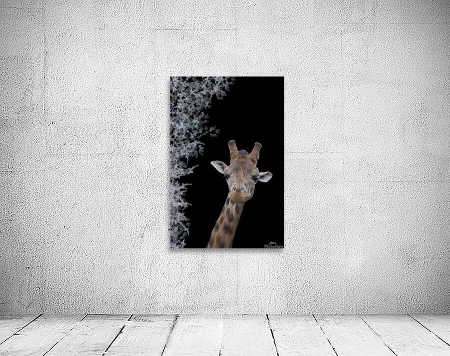 GIRAFE Wall Preview
