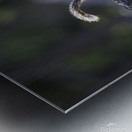 DSC 3989 Metal print