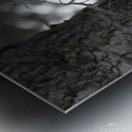 DSC 8012 Metal print