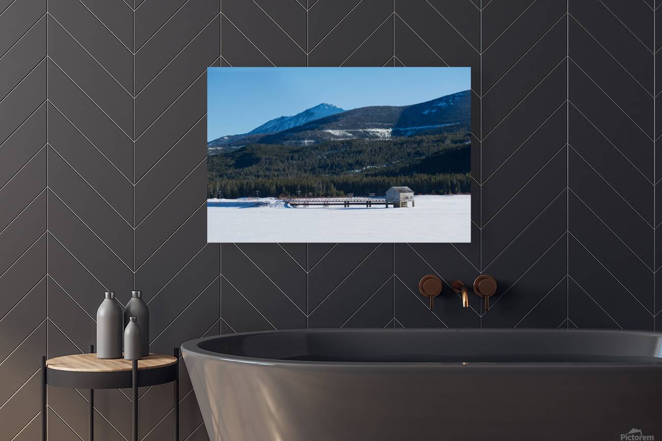 DSC 3357 Reproduction