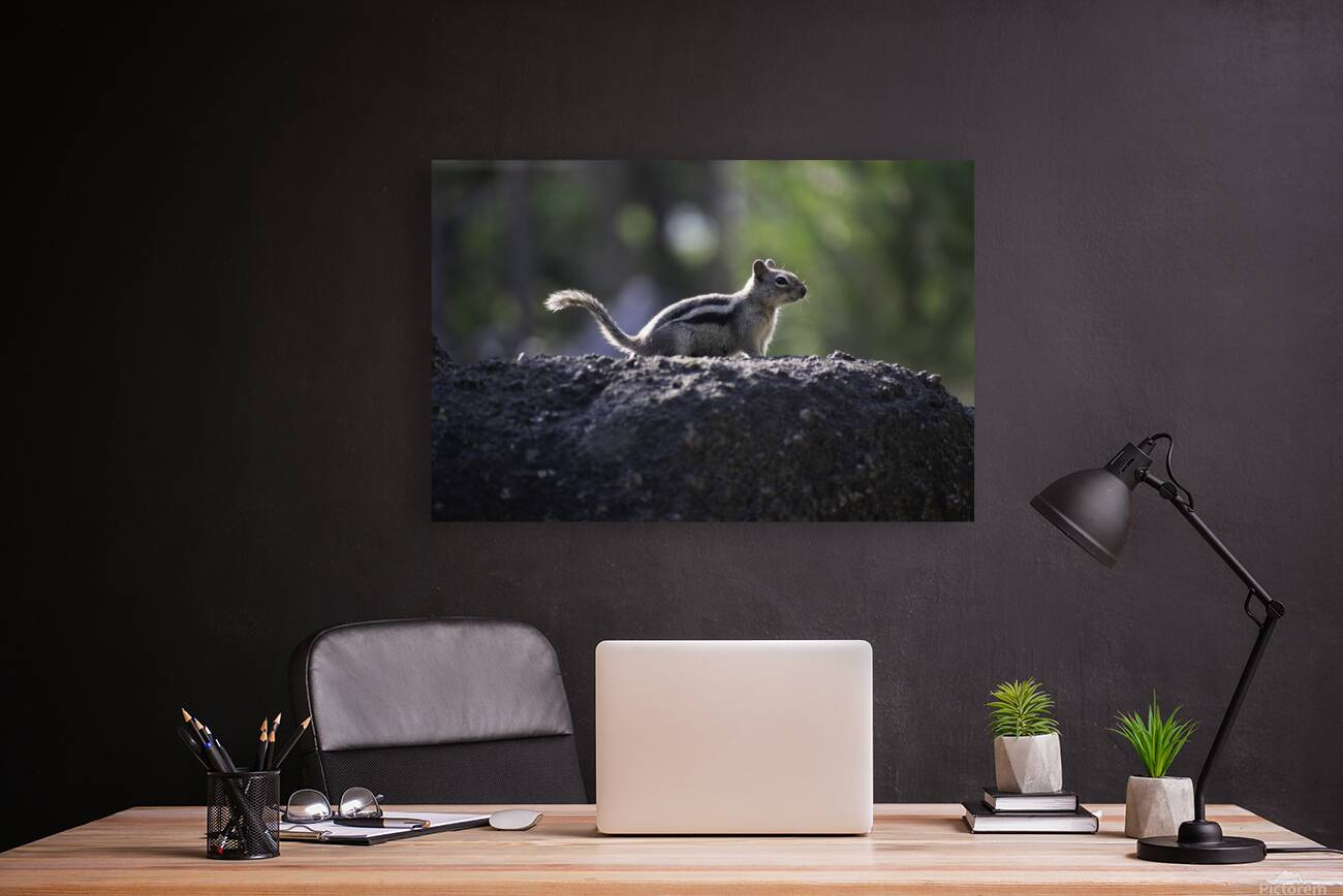 DSC 3989 Reproduction