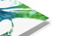 Liquidity HD Metal print