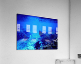 Eagle Rays  Acrylic Print