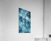 Reef Shark Beneathe Acrylic Print