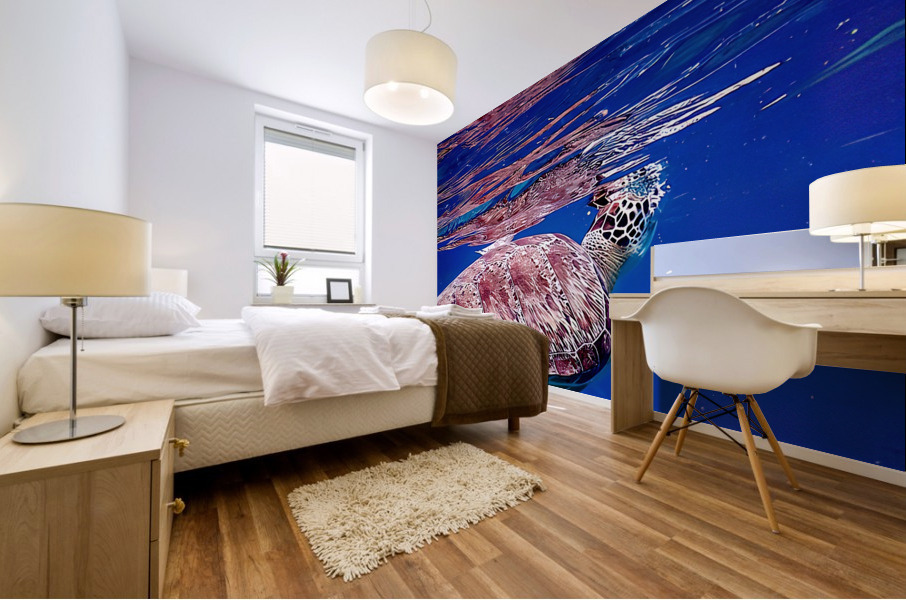 Turtle On Top  Mural print