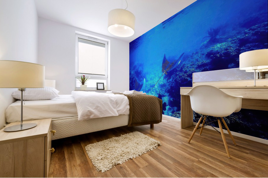 Eagle Rays  Mural print