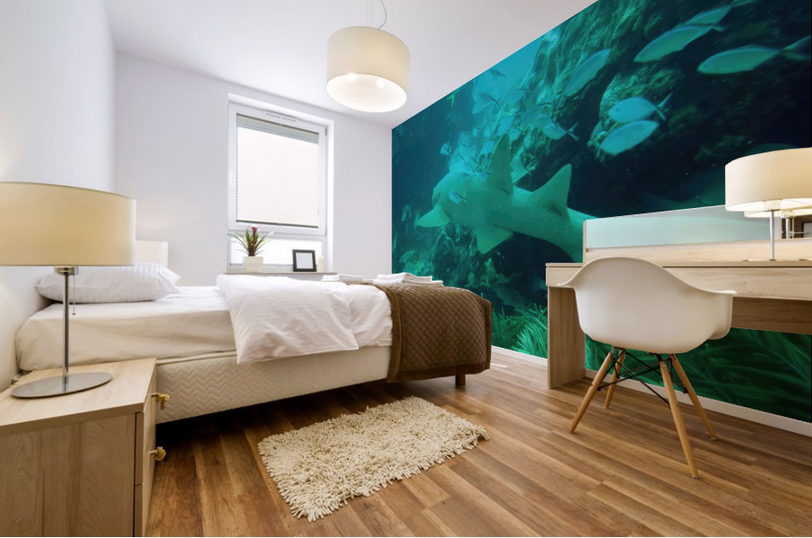 Nurse Shark Looe Key Mural print