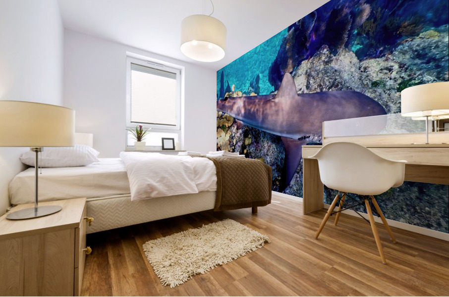 Reef Shark Looe Key Mural print