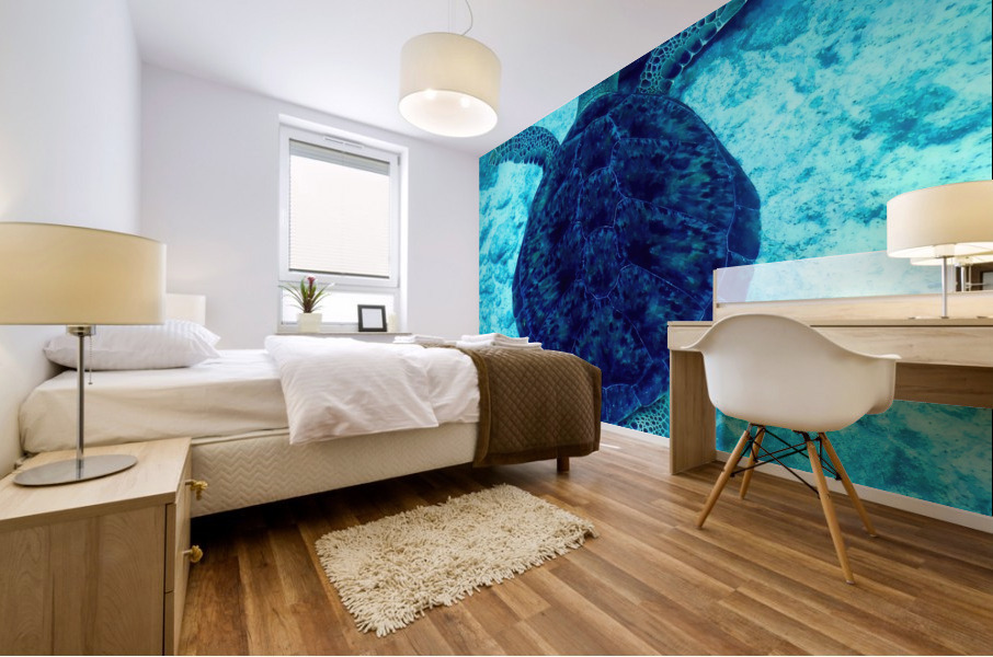 Sea Turtle Looe Key Mural print