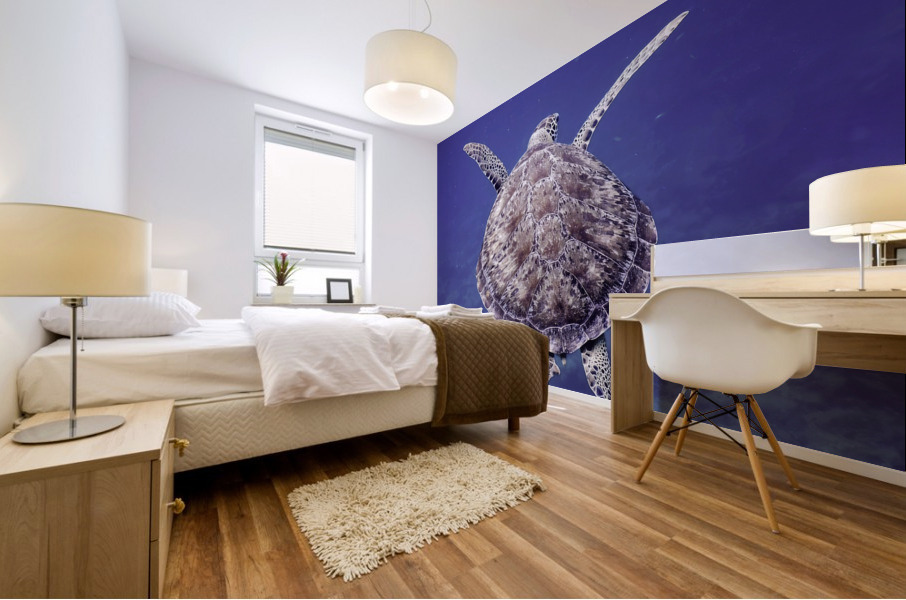 Sea Turtle Looe Key Reef Mural print