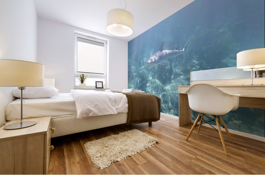 Looe Key Reef Shark Mural print