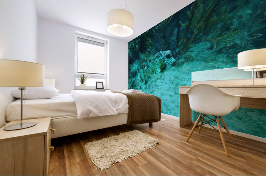 Box Puffer Looe Key Reef Mural print