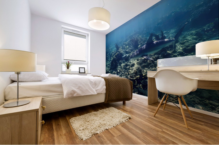Reef Shark Searching Mural print