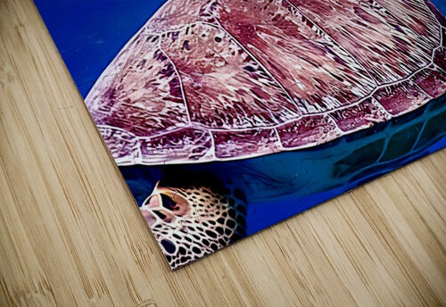 Turtle On Top  Fred Clark Land and Sea Photography  puzzle